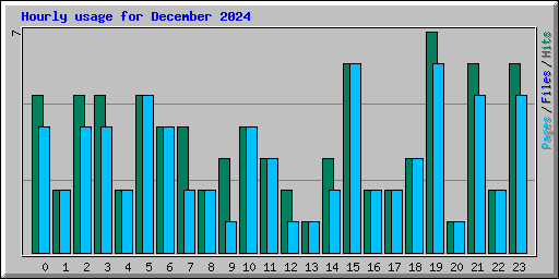 Hourly usage for December 2024